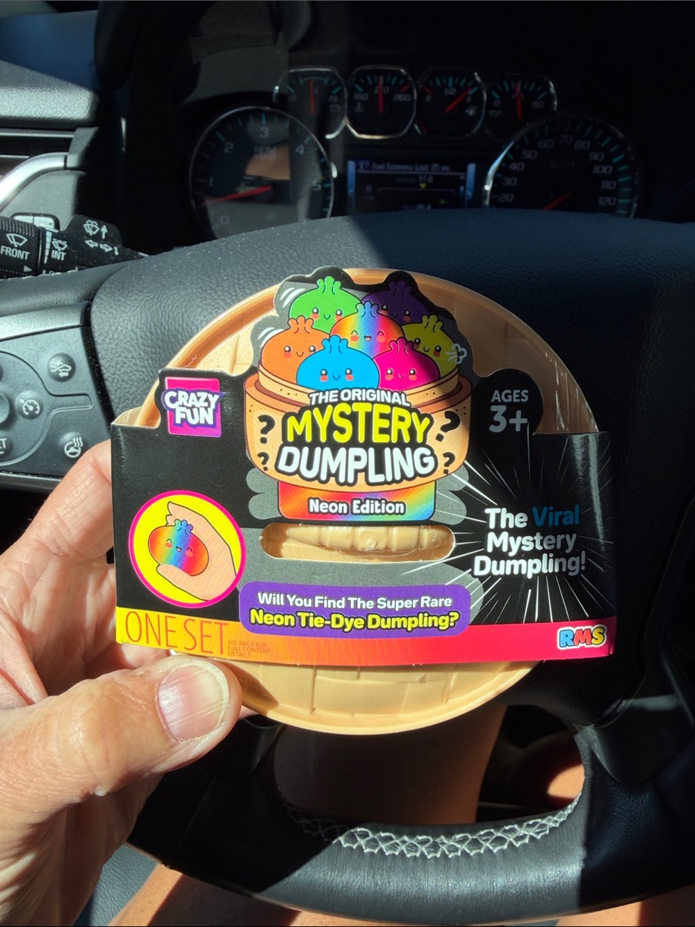 Mystery Dumpling Neon Edition - Pink & Blue Neon Collectible